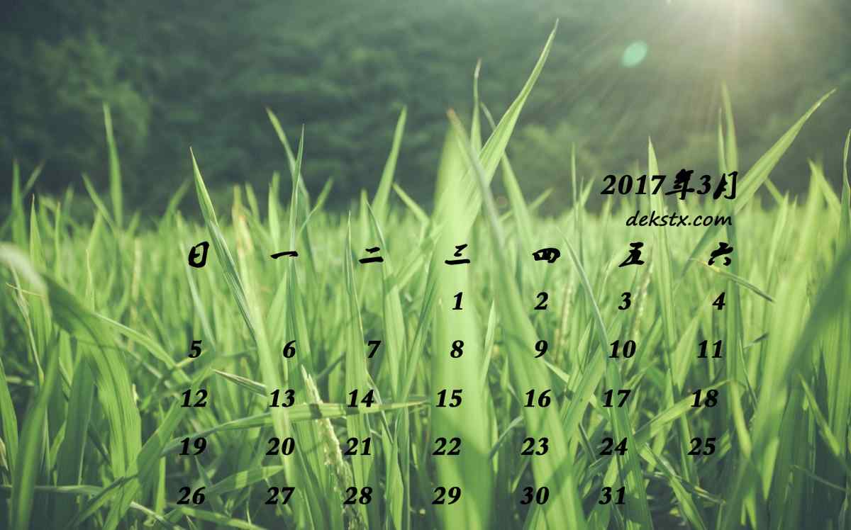 2017年3月日历绿色唯美草地风景桌面壁纸