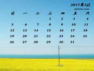 2017年3月日历小清新青海湖油菜花壁纸
