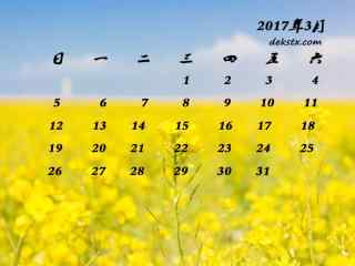 2017年3月日历唯美青海湖油菜花壁纸