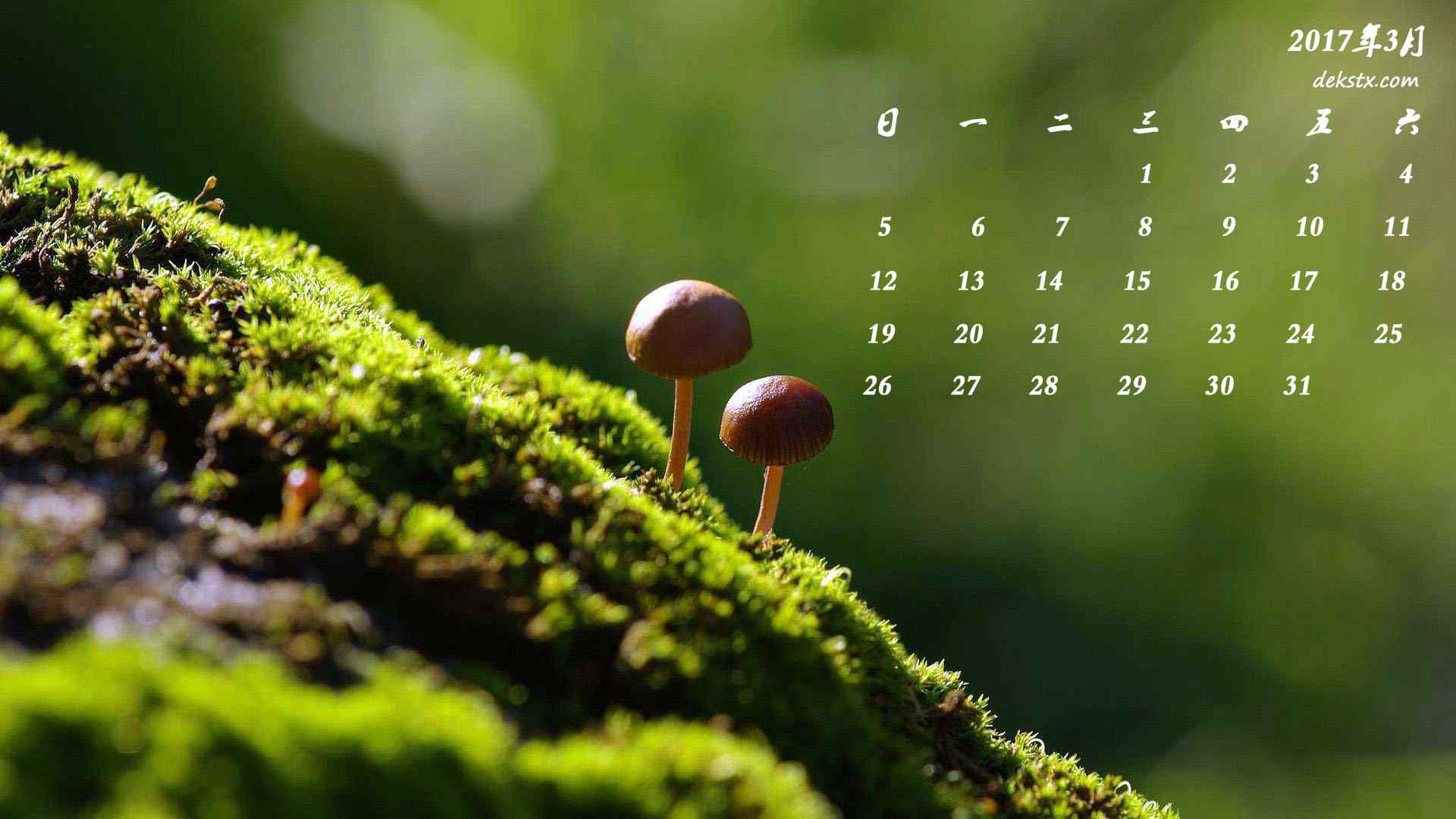 2017年3月日历绿色草地与小蘑菇桌面壁纸