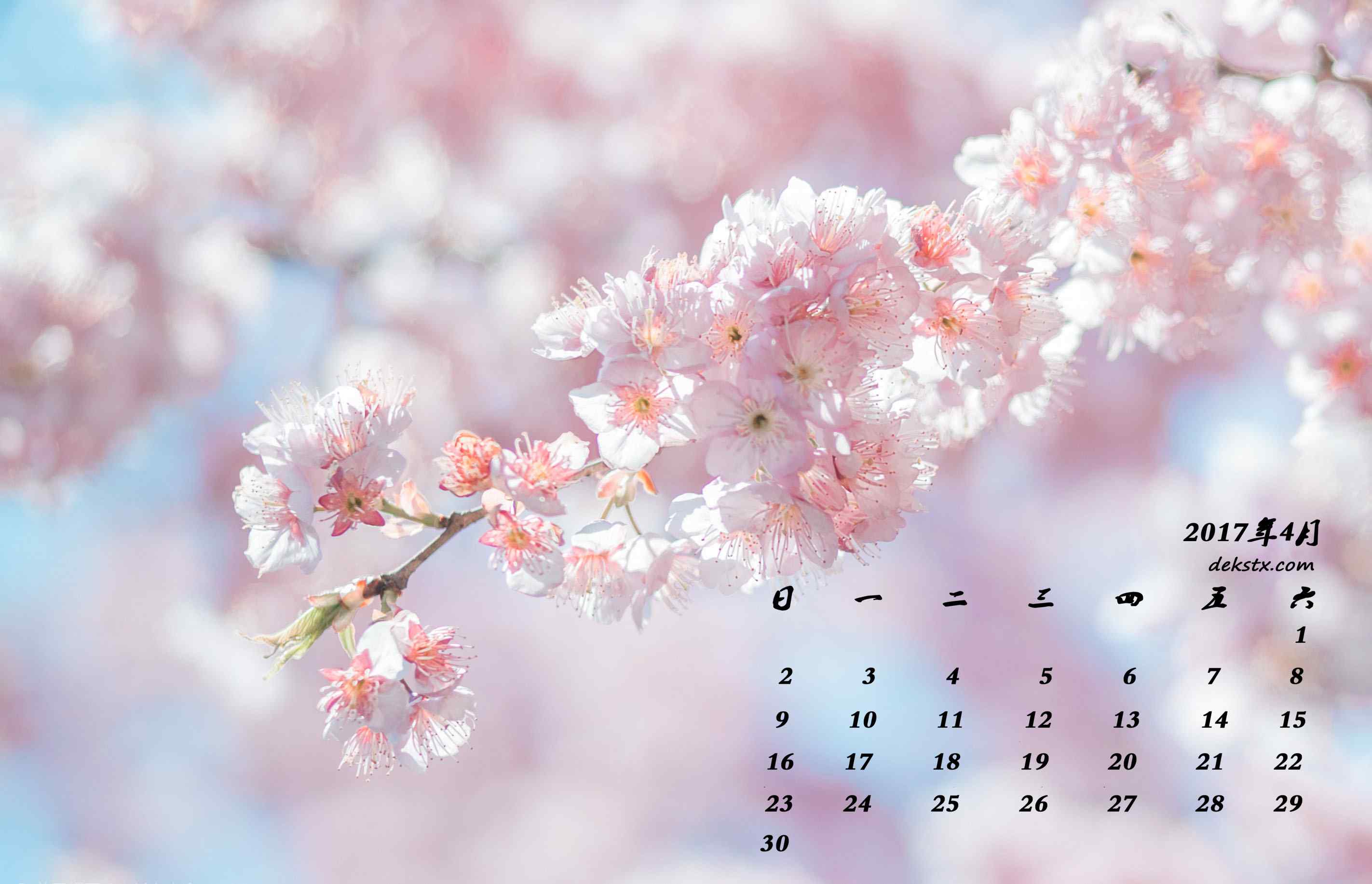 2017年4月日历唯美的樱花图片壁纸