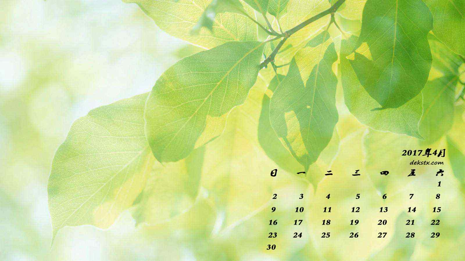 2017年4月日历植物护眼壁纸