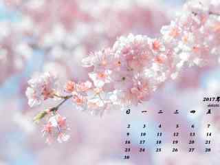 2017年4月日历唯美的樱花图片壁纸
