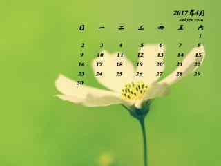 2017年4月日历小黄花图片桌面壁纸