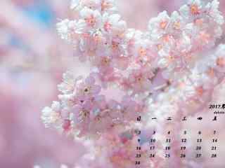 2017年4月日历唯美樱花植物图片壁纸