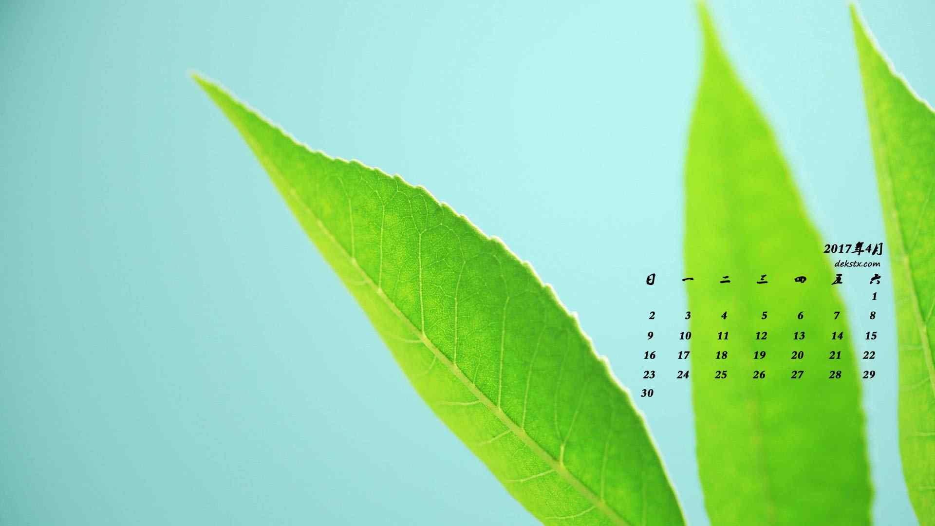 2017年4月日历唯美绿色叶子护眼壁纸