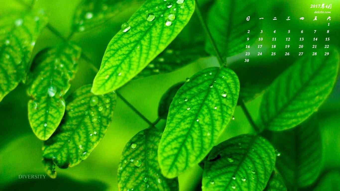 2017年4月日历绿色唯美植物护眼壁纸