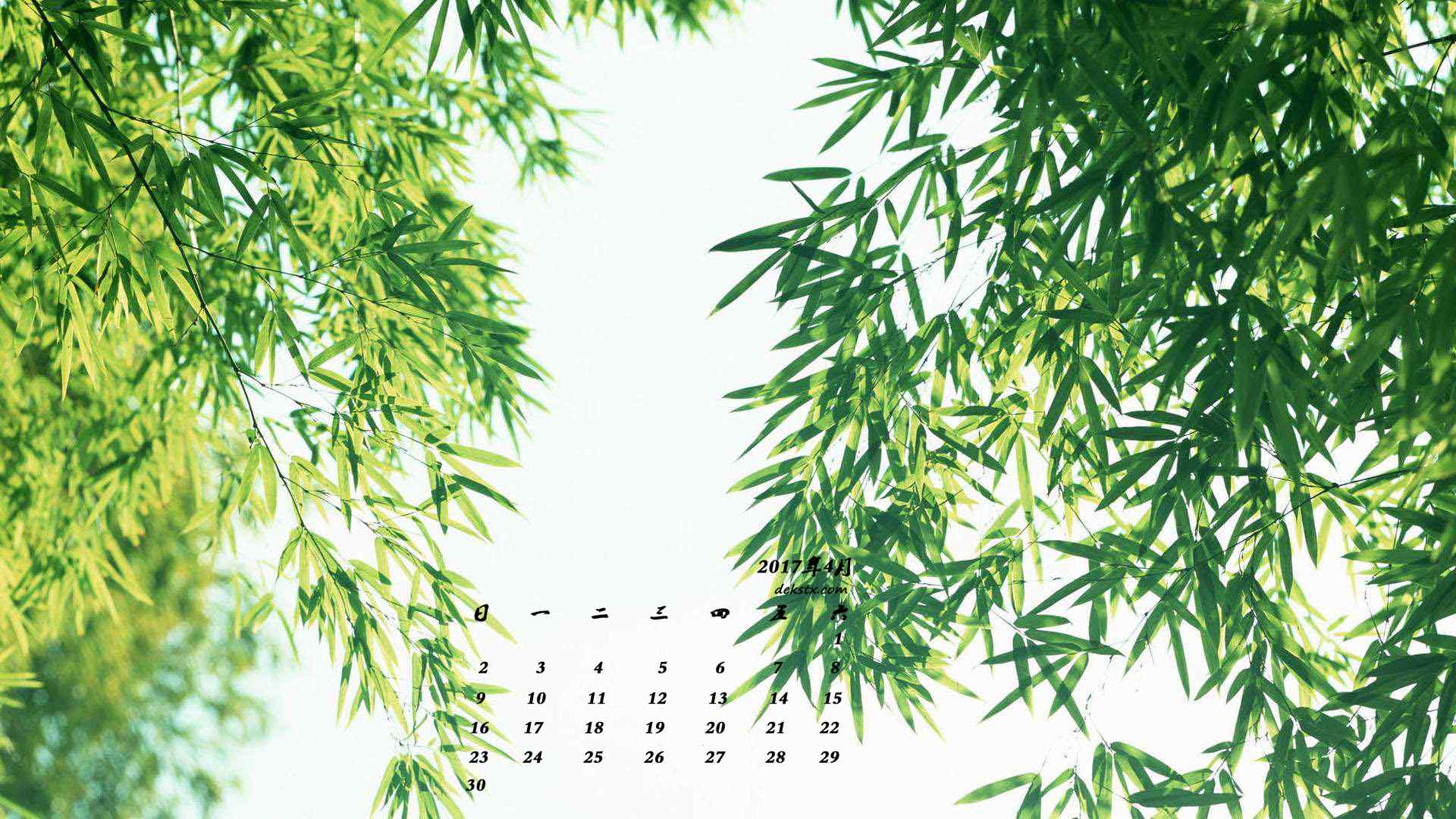 2017年4月日历小清新绿色竹叶护眼壁纸