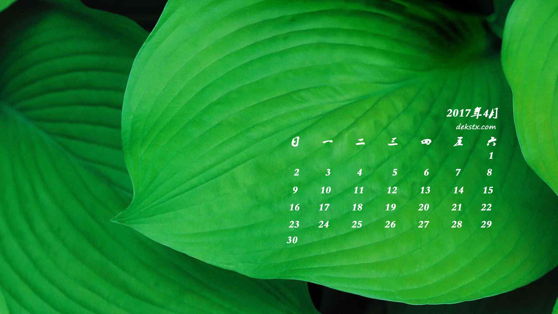2017年4月日历绿色叶子桌面壁纸