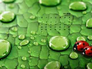 2017年4月日历绿色水珠与瓢虫壁纸