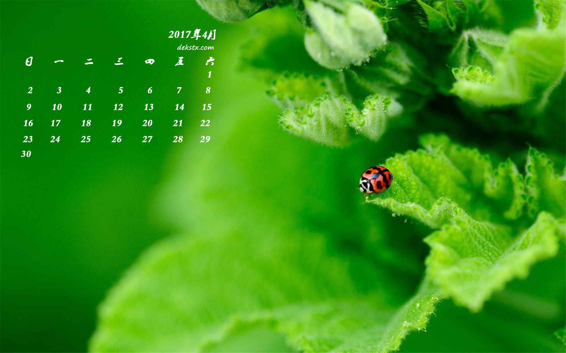 2017年4月日历绿色植物与瓢虫护眼壁纸