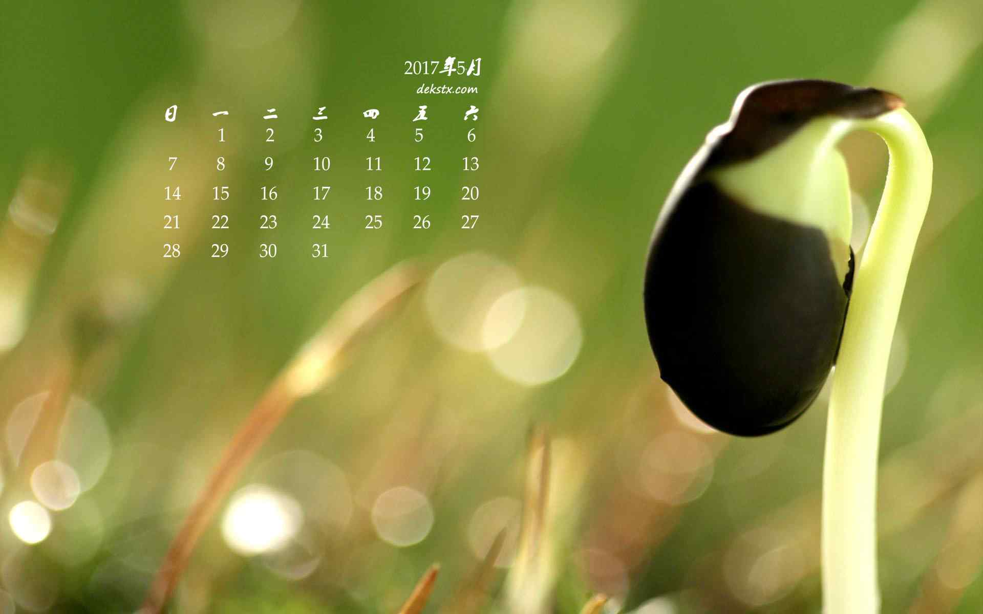 2017年5月绿色豆芽菜护眼日历壁纸