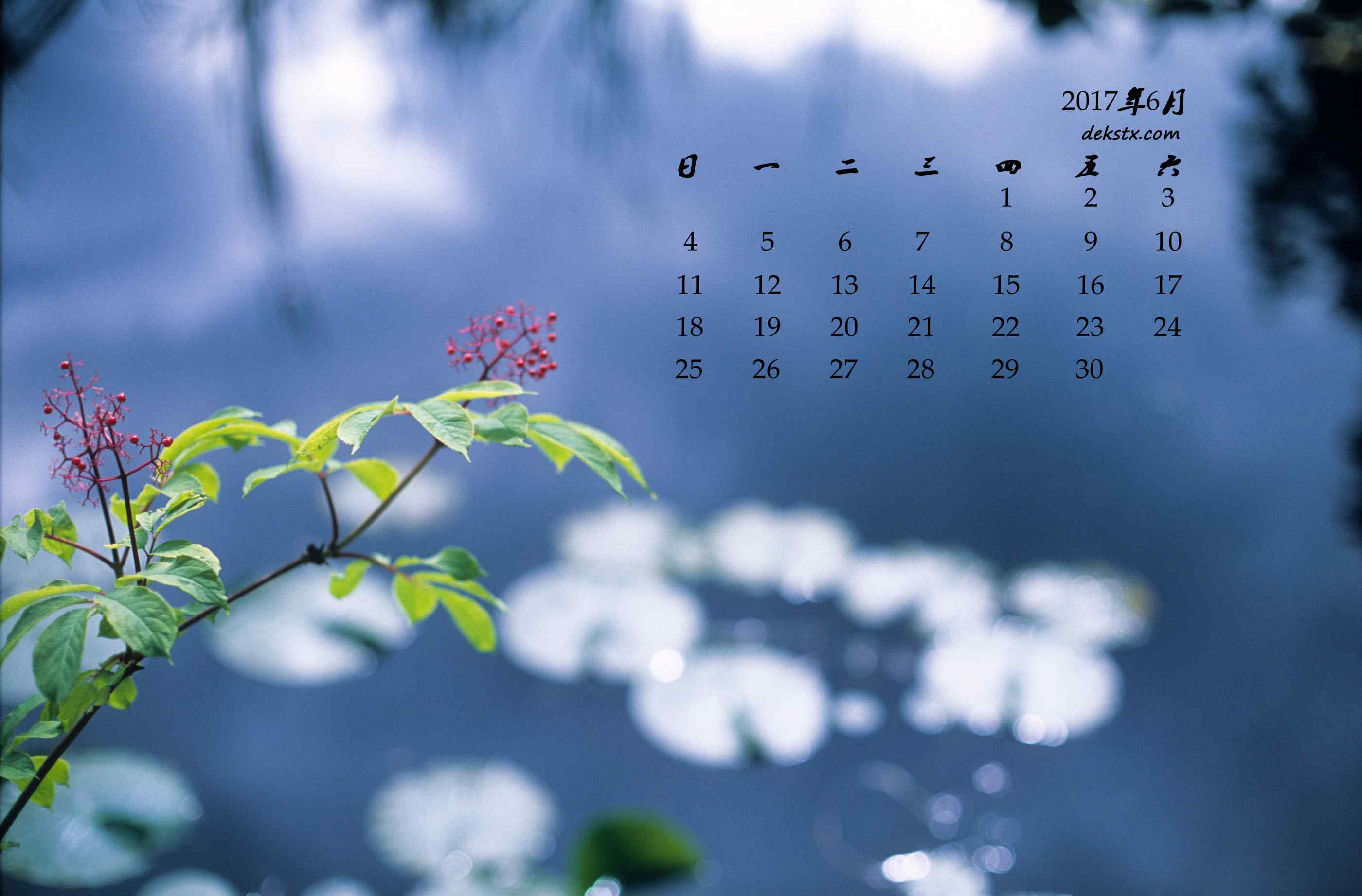 2017年6月日历小清新鲜花桌面壁纸