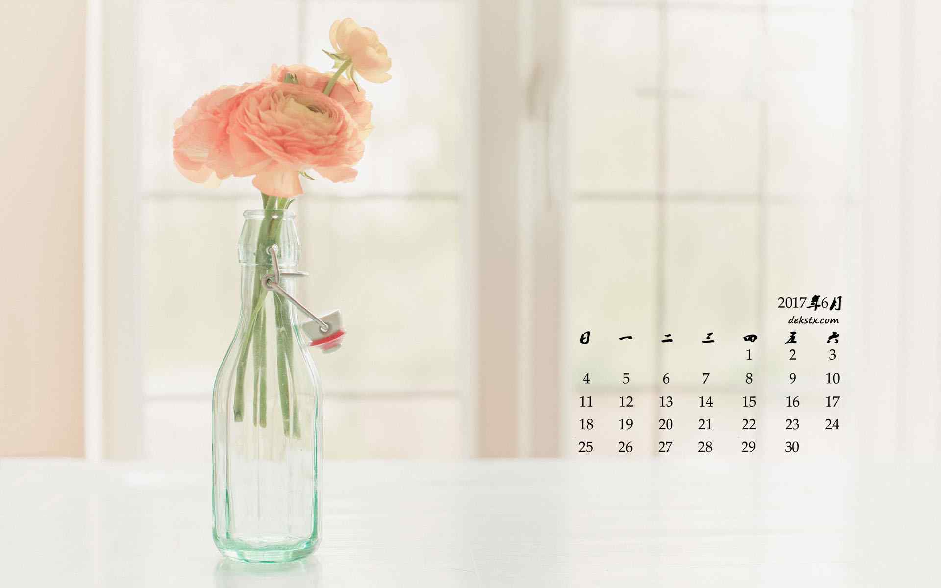 2017年6月日历瓶中的鲜花壁纸