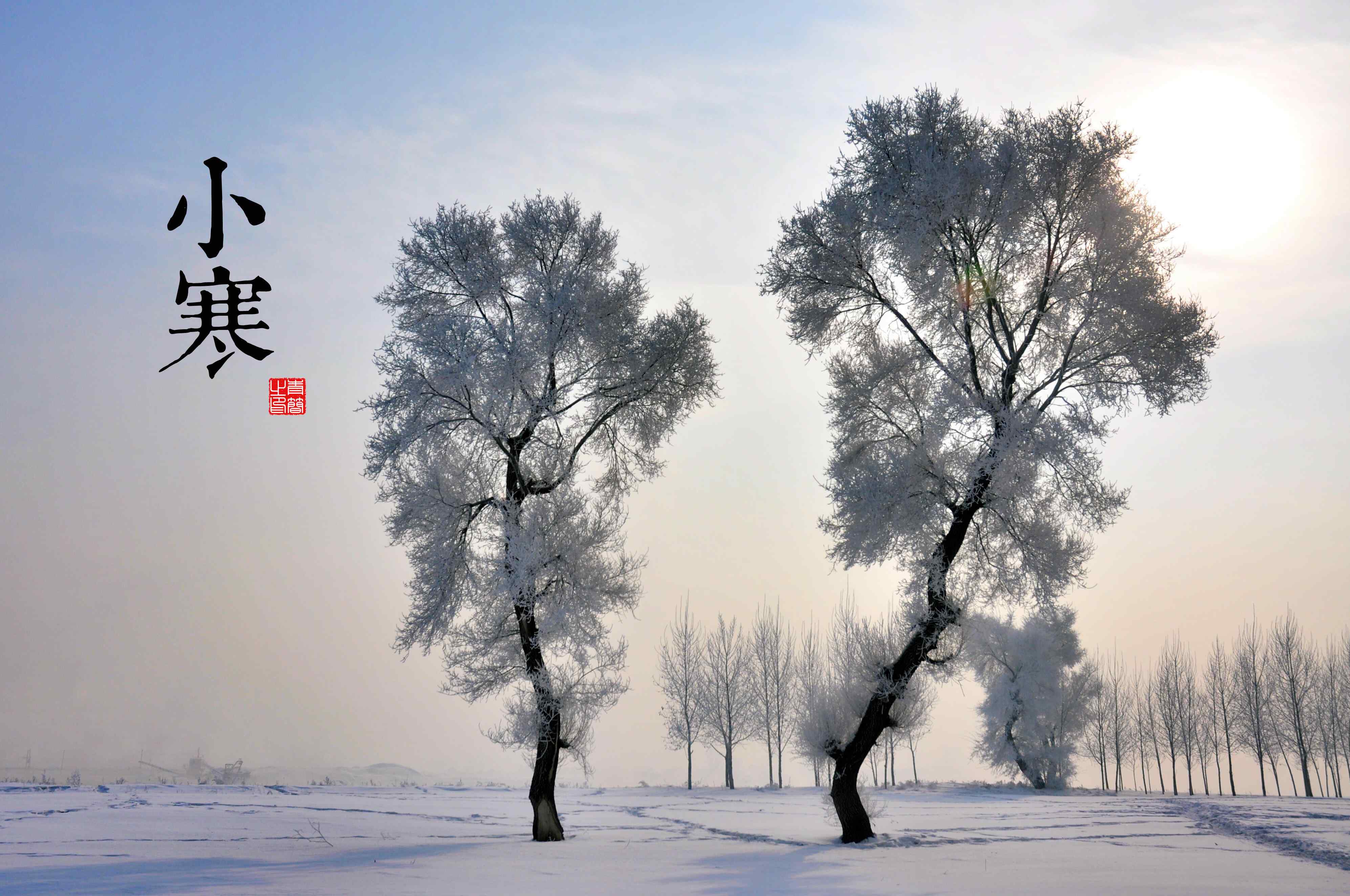 最美的节气人文风景壁纸【冬】