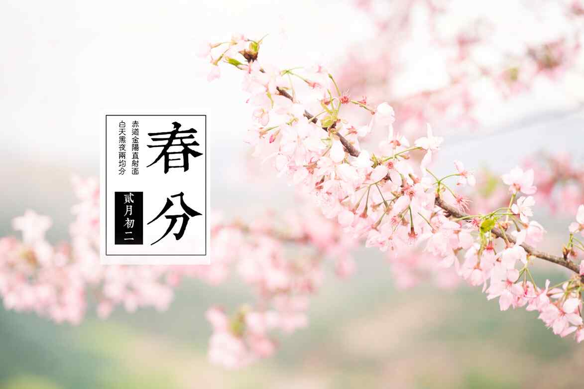 春分节气—唯美小清新桃花盛开桌面壁纸