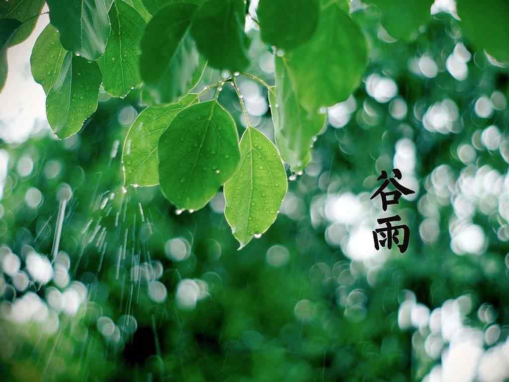 2017年谷雨节气绿色护眼壁纸