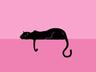 黑猫非主流粉色背景高清图片桌面壁纸