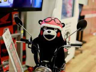可爱熊本熊骑摩托