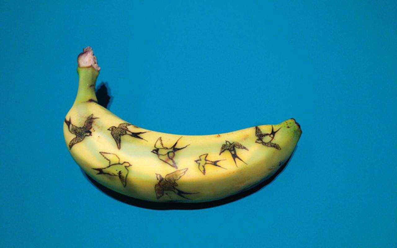 香蕉绘画之南飞的燕子图片桌面壁纸