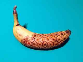 香蕉外皮创意绘画