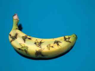香蕉绘画之南飞的燕子图片桌面壁纸
