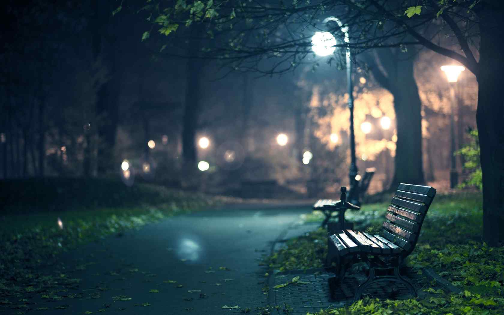 唯美浪漫的公园夜景图片桌面壁纸