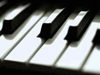 唯美钢琴黑白键图