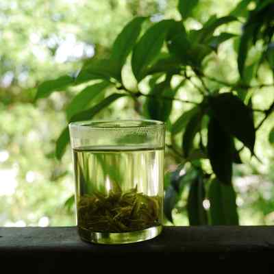 中国茶文化之清心绿茶高清桌面壁纸