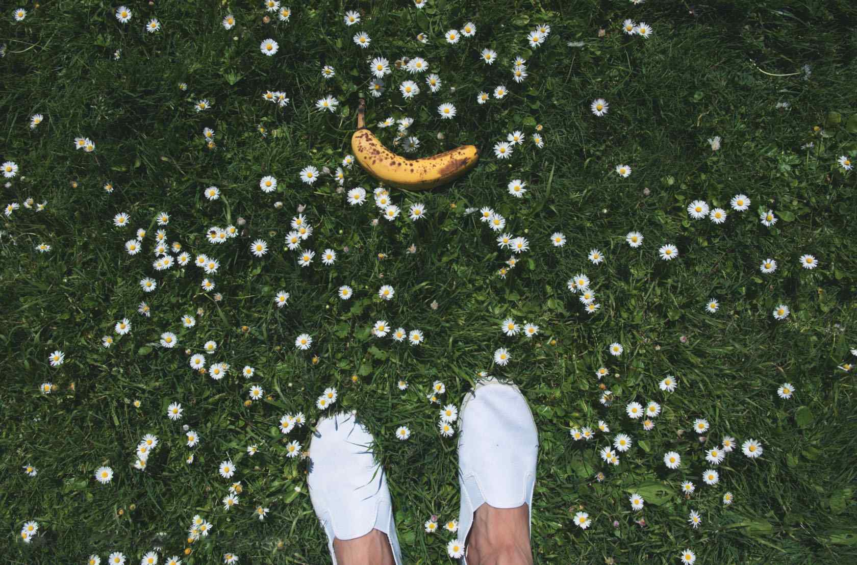 花丛中的香蕉图片小清新美食壁纸