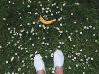 花丛中的香蕉图片