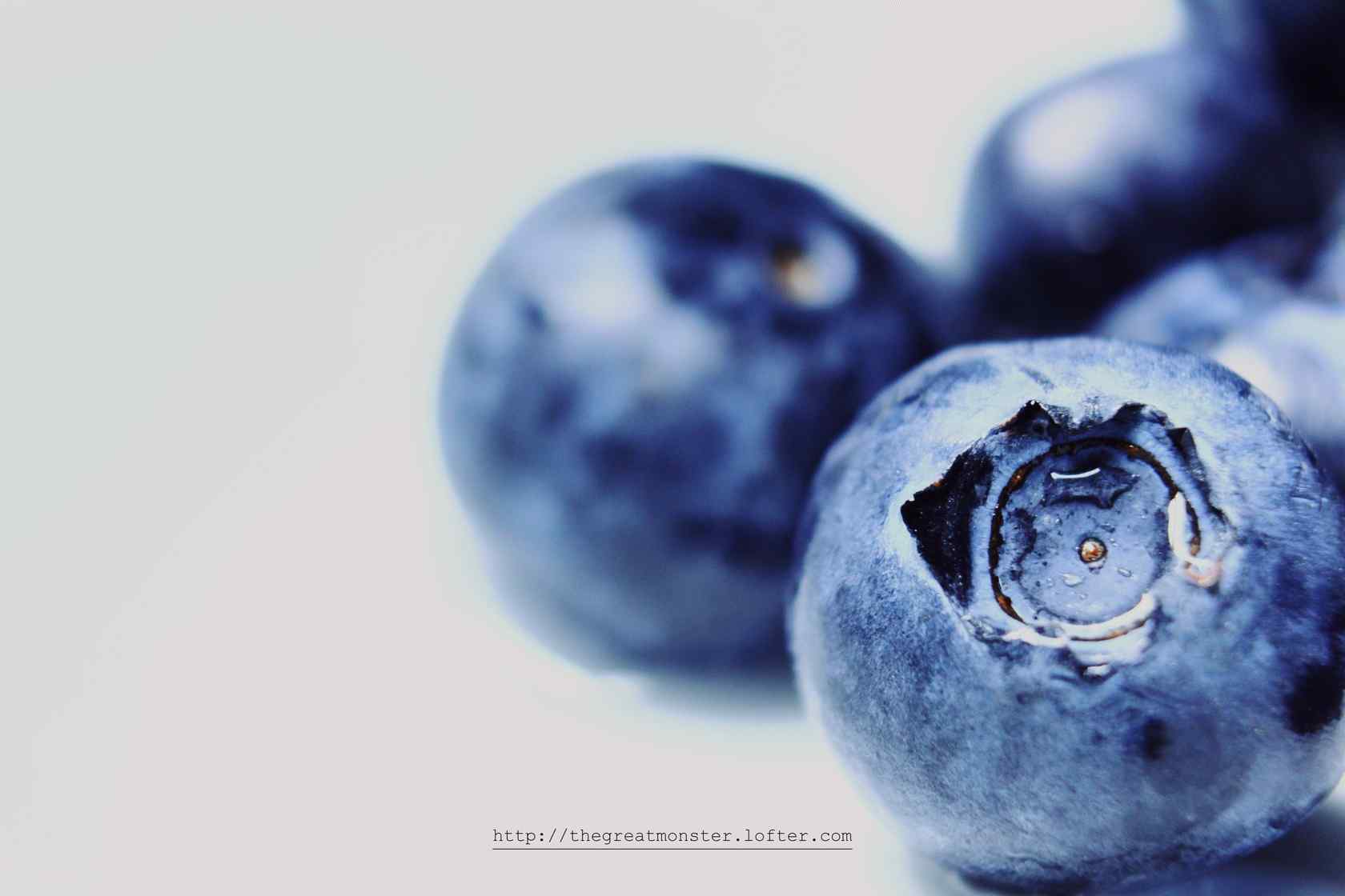 沾满水珠的蓝莓桌面壁纸