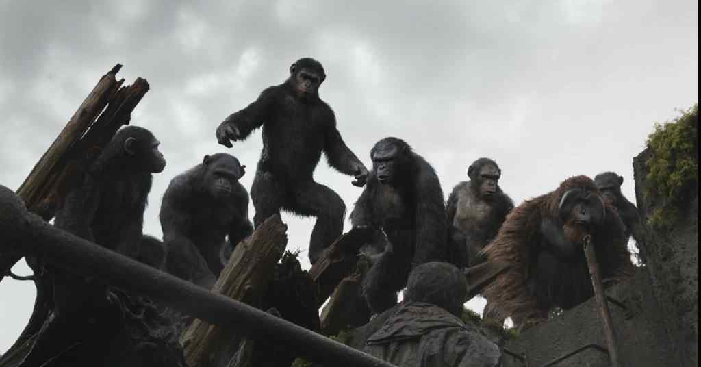 电影猩球崛起3终极之战猩猩群剧照图片