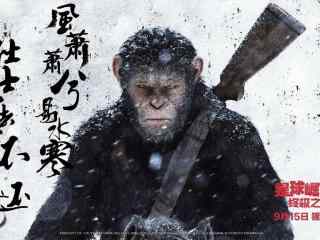 猩球崛起3终极之战电影海报壁纸