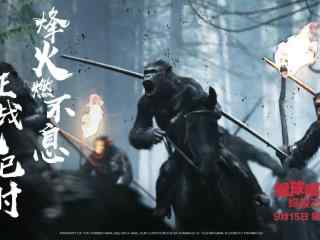猩球崛起3终极之战电影海报图片