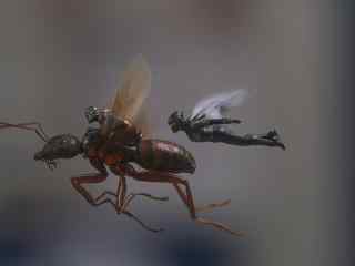 蚁人2蚁人黄蜂女