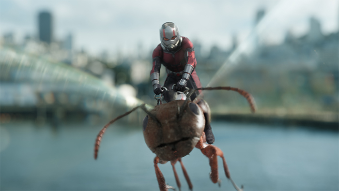 电影《蚁人2》蚁人乘坐飞蚁剧照图片