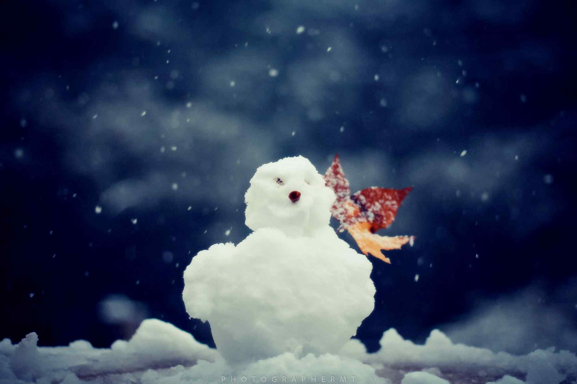 冬日里一个孤独的小雪人桌面壁纸