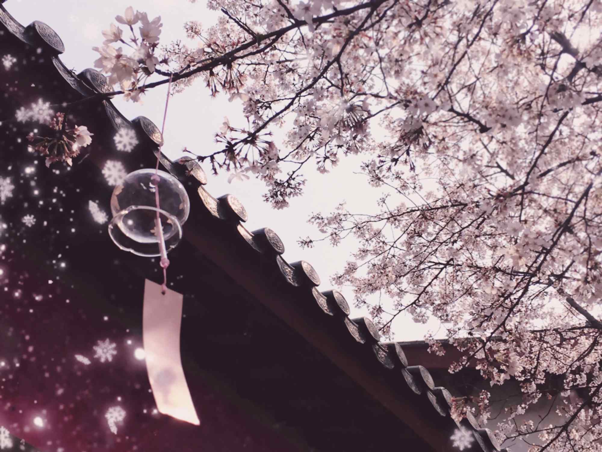樱花水下的日式风铃桌面壁纸