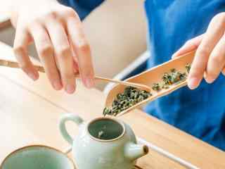 茶文化—将绿茶放