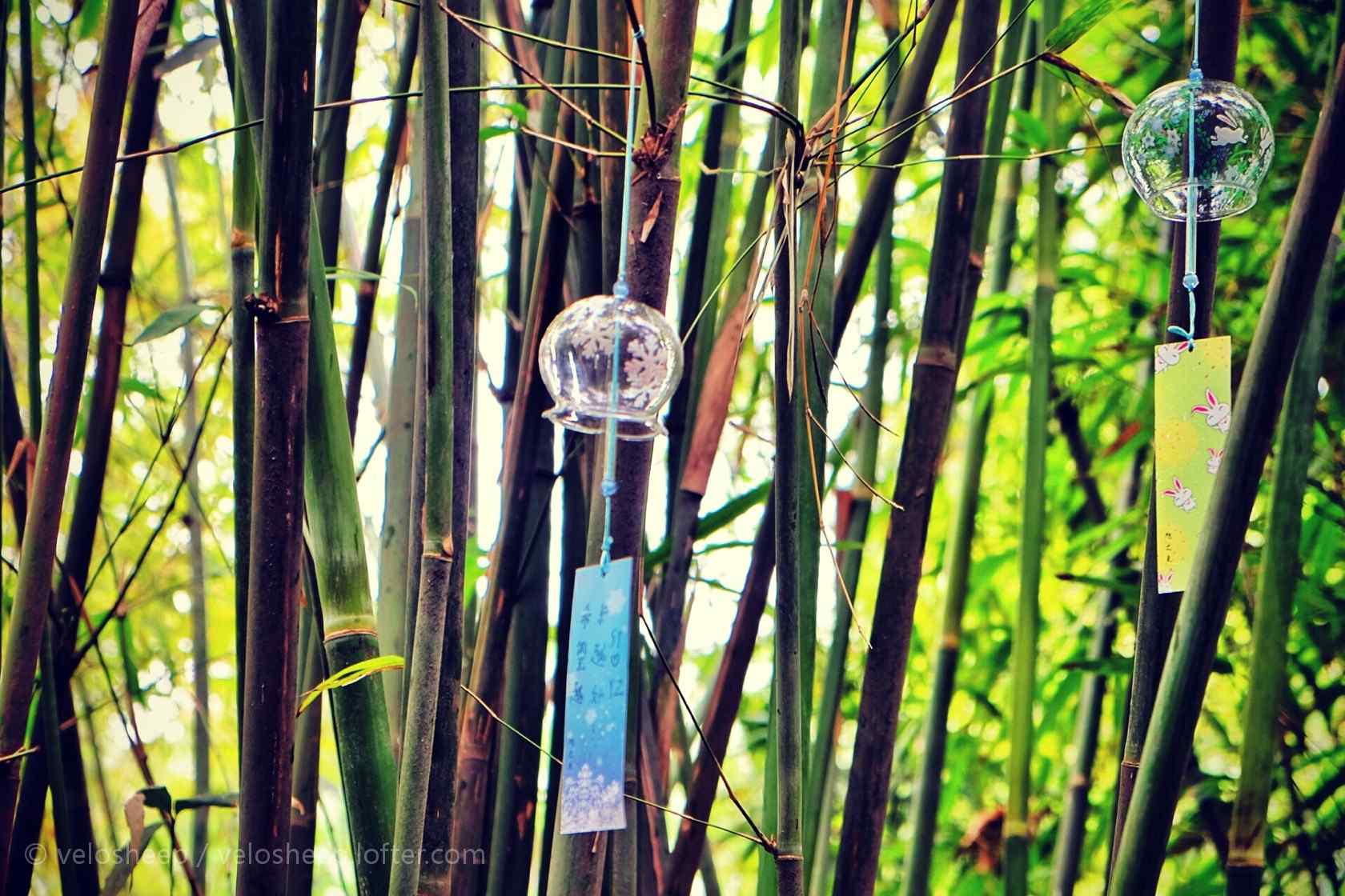 竹林里面的小风铃桌面壁纸
