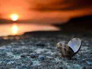夕阳下沙滩边上的贝壳桌面壁纸