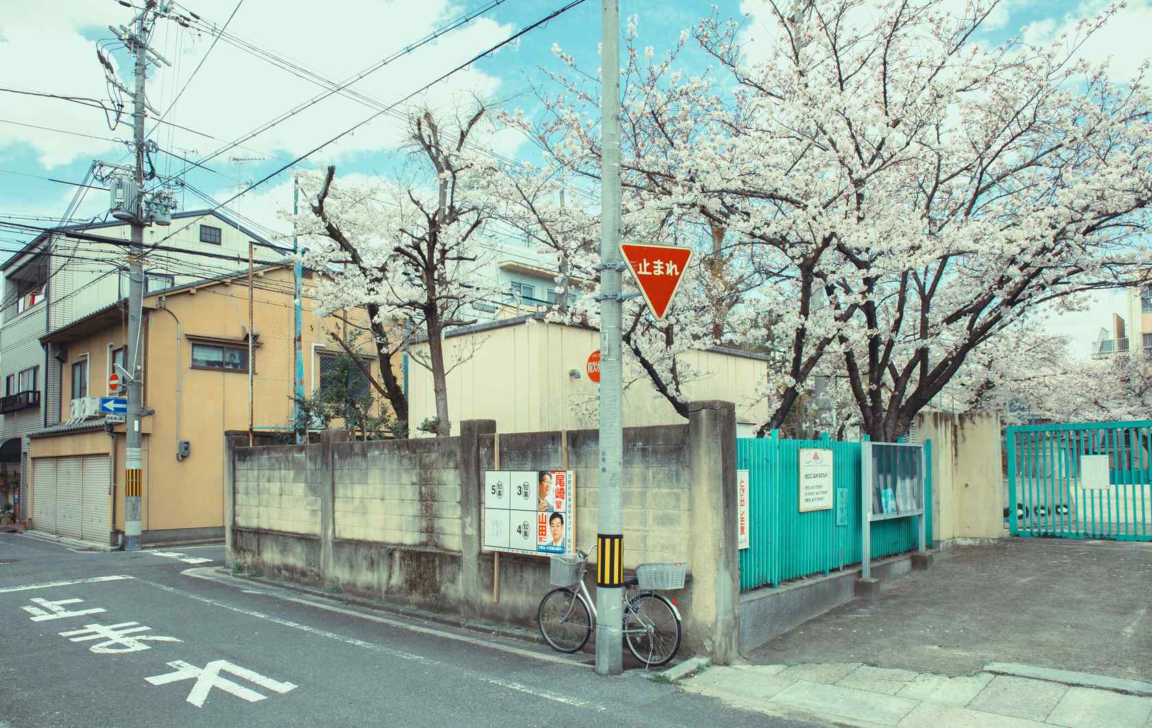 唯美日系樱花树下复古单车桌面壁纸
