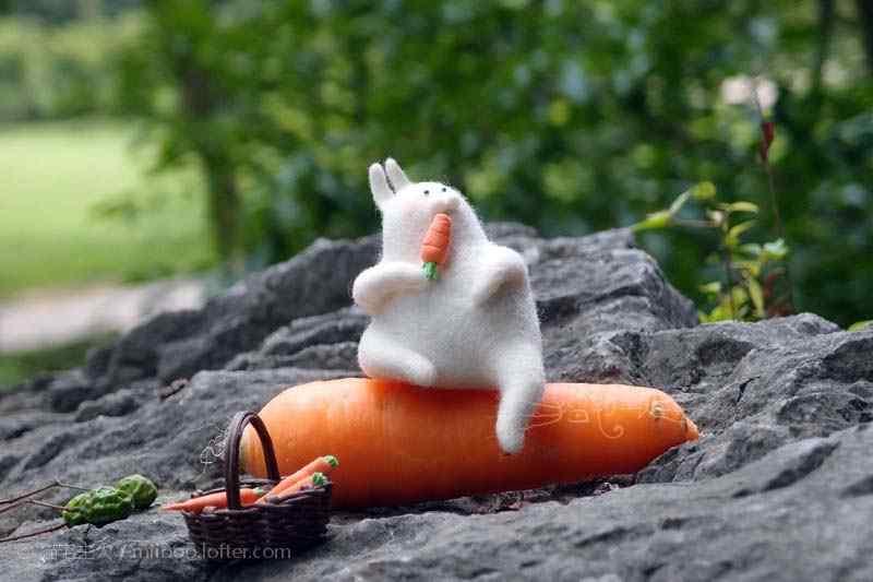 吃胡萝卜的毛毡小兔子桌面壁纸