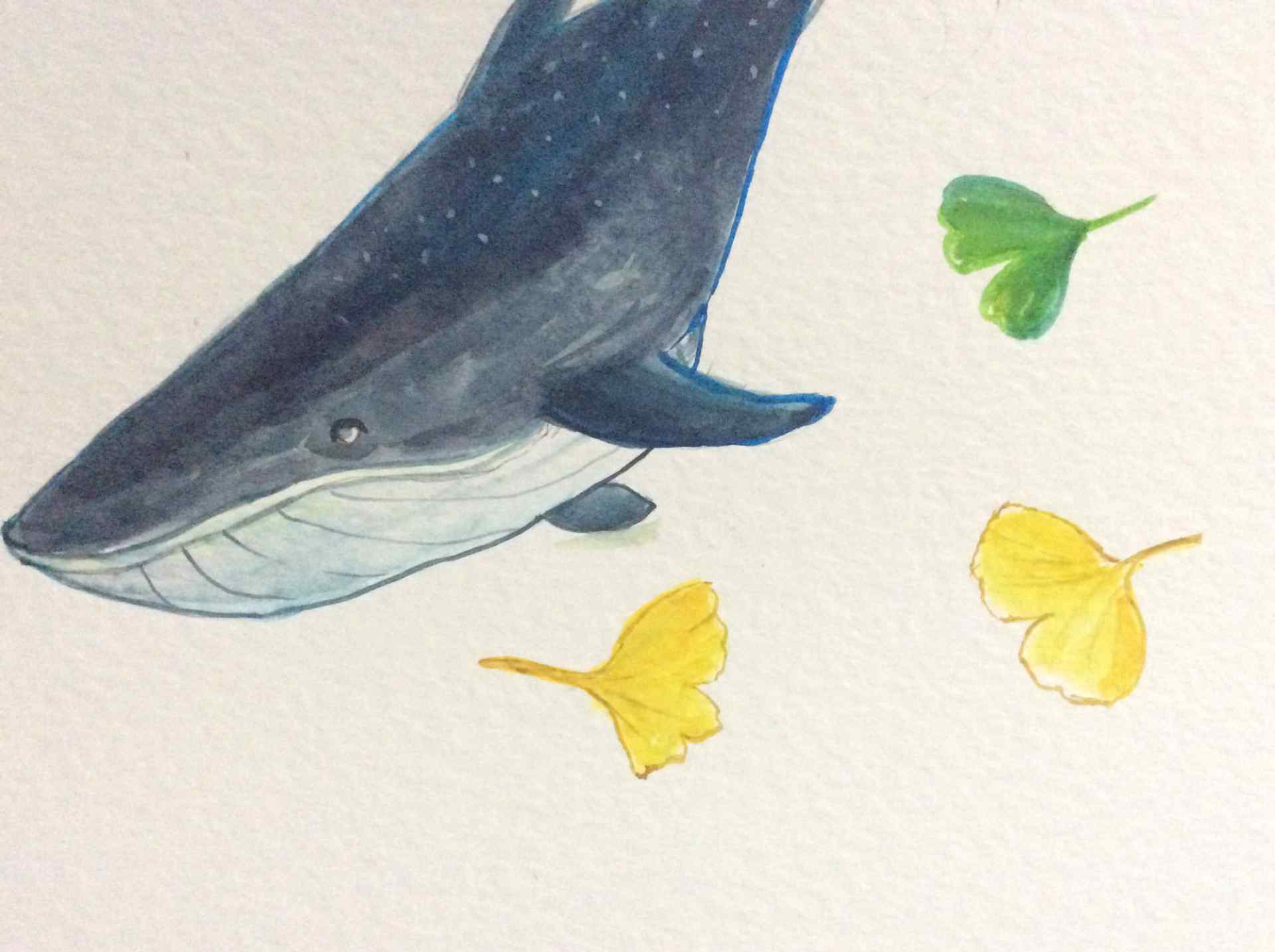 手绘鲸鱼和银杏叶清新桌面壁纸