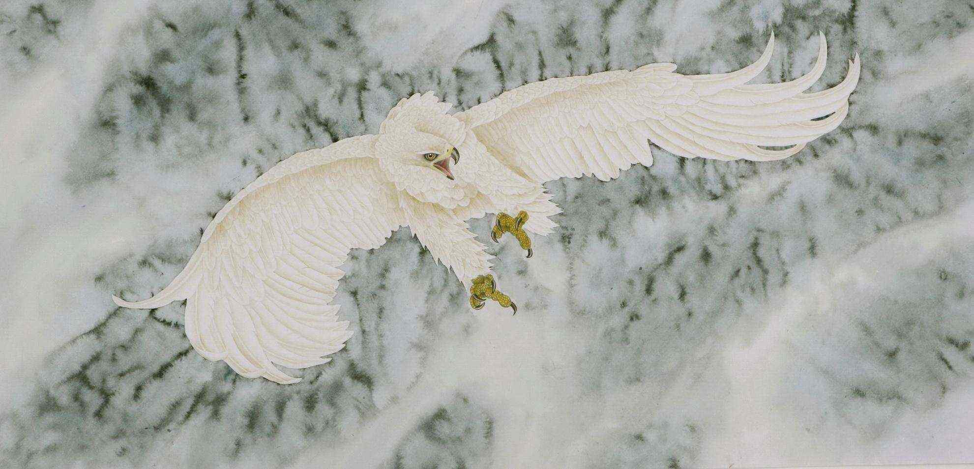 白色羽毛的老鹰图片中国话作品