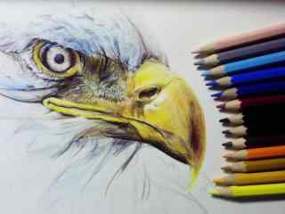 铅笔手绘老鹰图片桌面壁纸