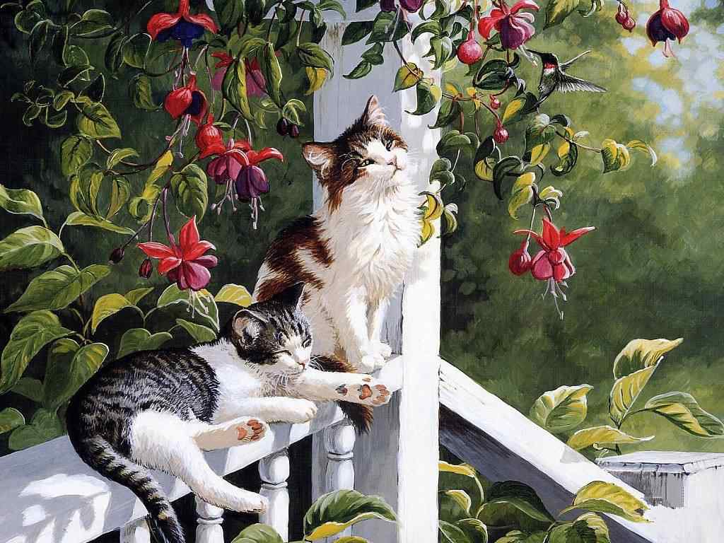 庭院慵懒猫咪手绘高清桌面壁纸