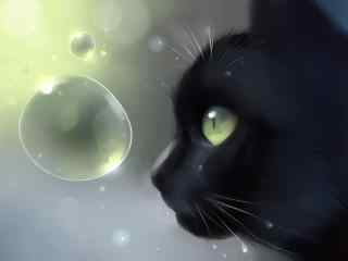 创意黑猫水滴手绘