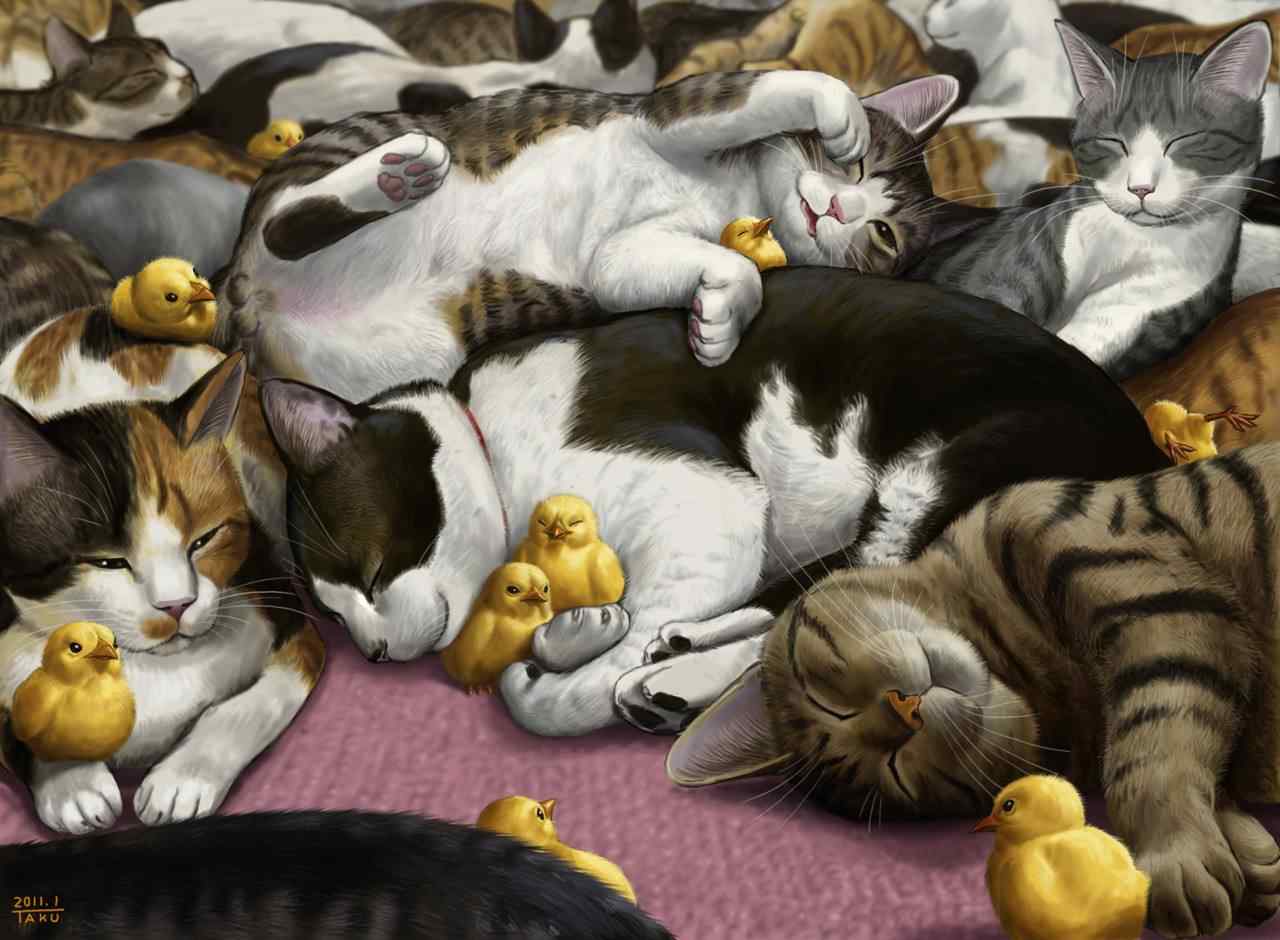 一群猫咪与小黄鸡手绘壁纸